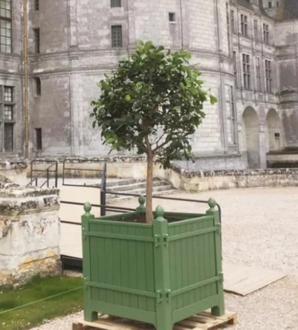 Orange tree planter, model 8